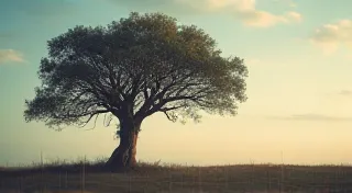 Whispers of the Void: Detecting and Analyzing Electromagnetic Fields